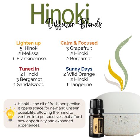 Hinoki Essential Oil, Terra Essential Oils, Essential Oil Education, Wild Orange, Doterra Oils, Oil Diffuser Blends, Oil Blends, Diffuser Blends, Essential Oils Aromatherapy