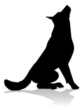 Black Dogs Breeds, Alsatian Dog, K9 Training, Wolf Silhouette, Animal Icon, Dog Vector, Dog Poster, Animal Silhouette, Man And Dog