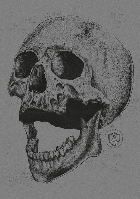 Laughing Skull, Human Skeleton Anatomy, Screaming Skull, Skull Art Tattoo, Skull Reference, Simple Skull, Skulls Drawing, Skull Tattoo Design, Skeleton Art