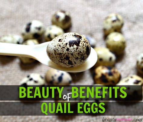 Quail eggs are tiny, yet packed with important nutrients that are essential for great health & yes, beauty too! Find out the beauty benefits of quail eggs and why you should eat them as much as you can. Cinnamon Oil Uses, Quail Eggs Benefits, Natural Beauty Hacks, Quail Recipes, Diy Cinnamon, Raising Quail, Egg Benefits, Cinnamon Benefits, Great Health