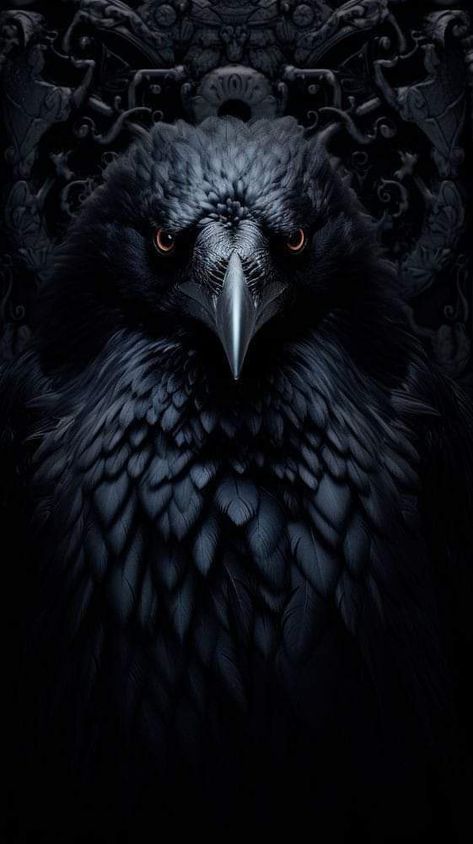 Raven Art Wallpaper, Wallpaper Phone Black, Crow Spirit Animal, Crow Pictures, Crow Movie, Birds Photography Nature, Black Crows, Wallpaper Video, Jason Lee