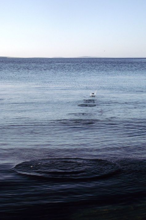 skimming stones Rock Skipping On Water, Hollow Heathens, Elizabeth Core, Skipping Rocks, Skipping Stones, Skimming Stone, Printing Studio, Android Wallpaper Dark, Horsemen Of The Apocalypse