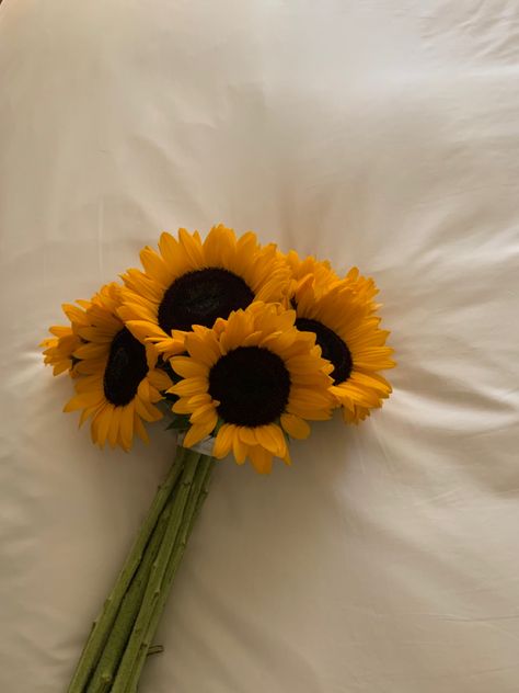 Sunflower Asthetic Picture, Sunflower Bouquet Aesthetic, Sunflower Pictures Photography, Flor Aesthetic, Sunflowers Aesthetic, Aesthetic Sunflower, Boutique Aesthetic, Sunflower Aesthetic, Computer Wallpaper Hd