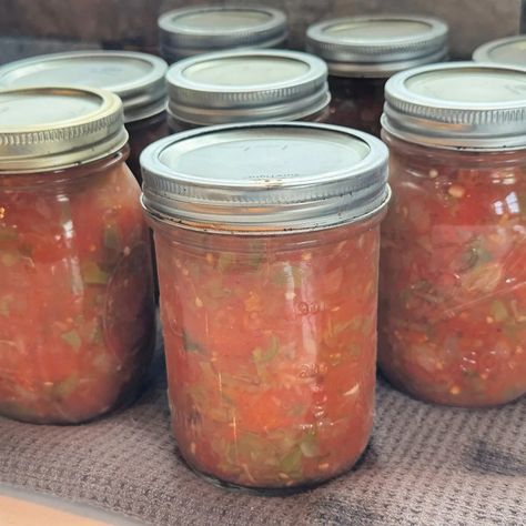 Canned Mild Salsa Recipe, Salsa Recipe Canning, Mild Salsa Recipe, Salsa Recipe For Canning, Old World Garden, Salsa Canning Recipes, Canning Salsa, Canning Process, Latin American Recipes