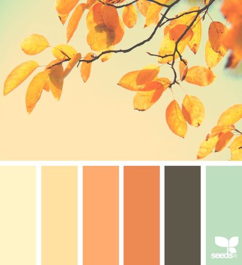 Color palettes Seeds Color Palette, Today's Inspiration, Combination Color, Seeds Color, Paint Palettes, Colour Swatches, Colour Pallets, Palette Design, Color Schemes Colour Palettes