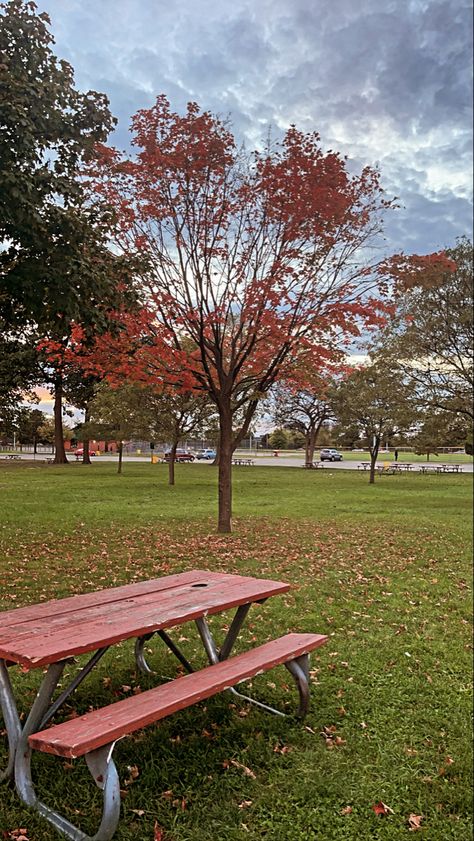 Park Asthetic Picture, Asthetic Picture, Park Bench, Bench, Outdoor Furniture, Outdoor Decor, Furniture, Home Decor, Home Décor