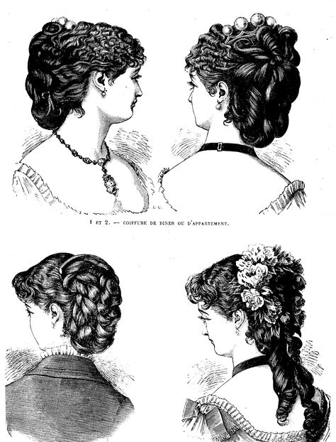 Victorian fashion engraving  c 1880s