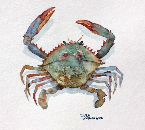 Seashell Illustration Drawing, Watercolour Crab, Watercolour Ocean, Abstract Watercolor Tutorial, Seashell Illustration, Crab Painting, This Is Water, Crab Claw, Sea Life Art