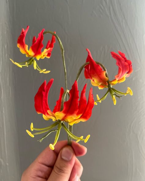 🔥 GLORIOSA LILIES 🔥 also known as flame lilies. Did you know these exotic flowers are poisonous from their petals to stems to humans and animals🤔 GREAT NEWS they can be made out of sugar which is edible and non poisonous while still capturing the firey beauty!!! #gloriosalily#sugarflowers #nm #nmtrue #newmexicobaker #newmexicobakery #newmexicowedding #nmwedding #weddingcake #nmweddingcake #newmexicoweddingcakes #roswellnm #hobbsnm #carlsbadnm #artesianm #ruidoso #exotic #exoticflowers #lily #... Flame Lily, Chilli Spice, Gloriosa Lily, African Lily, Color Cake, Sugar Art, Edible Art, Edible Flowers, Flora Fauna