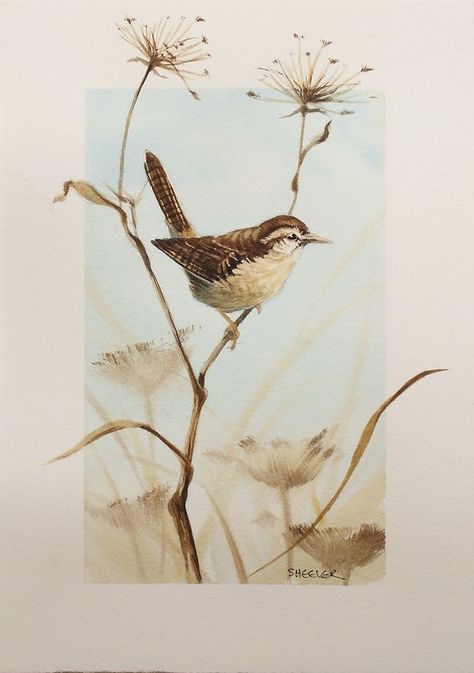 Wren Illustration, Peter Sheeler, Jenny Wren, Notes Project, Abstract Art Painting Techniques, Bird Paintings, Animal Illustration Art, Woodland Nursery Theme, Simple Canvas Paintings