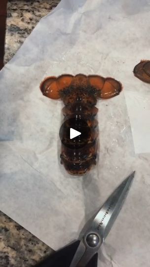 22K views · 532 reactions | How to prepare lobster tails for your Valentine! #valentinesday #cooking #howto | By Abbyinthegalley | Facebook How To Prepare Lobster, Lobster Tail Recipe, Recipes Sides, Lobster Recipes Tail, Lobster Tail, Lobster Tails, Seafood Recipes, Seafood, Chef