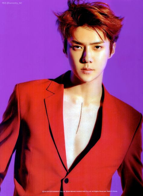 [Scan] EXO Sehun Love Shot Postcard Love Shot, Exo Music, Exo Album, Kim Junmyeon, Exo Sehun, Oh Sehun, Do Kyungsoo, Byun Baekhyun, Chinese Boy