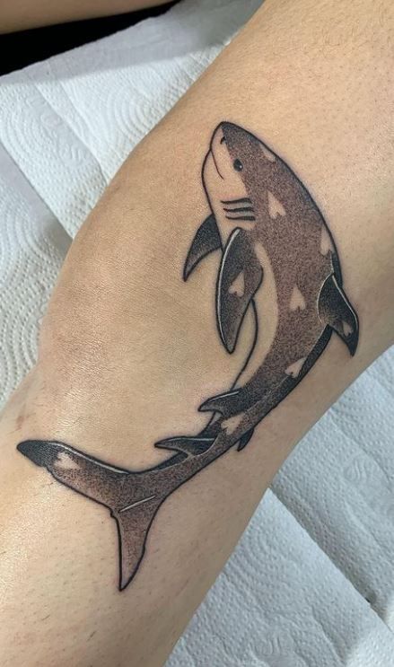 Shark Teeth Elbow Tattoo, Goldfish Shark Fin Tattoo, Large Shark Tattoo, Shark Tramp Stamp, Shark Stencil Tattoo, Shark Tattoo Cute, Shark Leg Tattoo, Shark Knee Tattoo, Shark Bite Tattoo