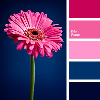 Bright pink and contrasting dark blue will create an extraordinary play of light if you use them in kitchen decor. Also, this palette is suitable for livin. Color Generator, Color Schemes Colour Palettes, Color Palette Pink, Color Palate, Color Palette Design, Color Balance, Alam Yang Indah, Colour Schemes, Color Pallets