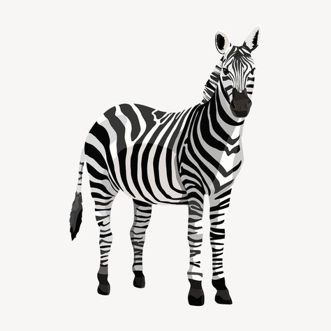 Zebra safari animal, wild life illustration clipart vector | premium image by rawpixel.com / Warapon How To Play Spoons, Zebra Clipart, Zebra Cartoon, Zebra Illustration, Life Illustration, Zebra Art, Zebra Pattern, Cartoon Images, Wild Life