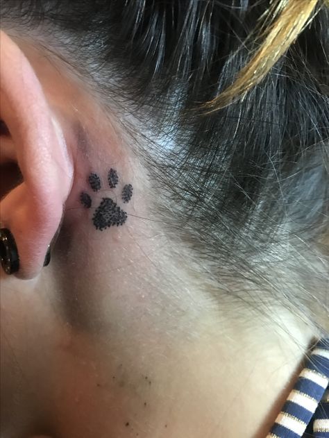 Ear Tattoo Paw Print, Tattoo Ideas Paw Print, Paw Print Tattoo Behind Ear, Tattoo Paw Print, Tattoo Paw, Behind The Ear Tattoo, Tattoo Behind Ear, The Ear, Ear Tattoo