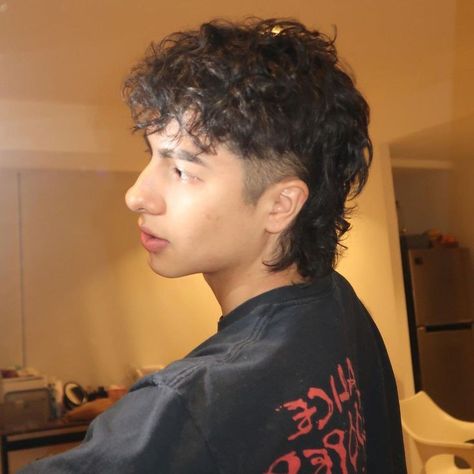 Male Haircuts Curly, Men Blonde Hair, Curly Hair Fade, Men Haircut Curly Hair, Short Grunge Hair, Mullet Haircut, Mens Hairstyles Thick Hair, Wavy Hair Men, Curly Mullet