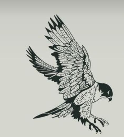 Kestrel Tattoo Black And White, Hawk Line Tattoo, Peregrine Falcon Tattoo Design, American Traditional Hawk Tattoo, White Hawk Tattoo, Redtail Hawk Tattoo, Hawk Tattoo Traditional, Hawk Tattoo Men, Falcon Tattoo Feminine