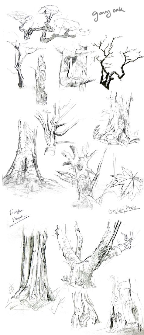 #trees #samllanes #sketches #pencil #studies Zebra Drawing Sketches Pencil, Tree Study Drawing, Landscape Drawing Practice, Tree Pencil Sketch, Pencil Studies, Sketches Landscape, Pencil Sketch Tutorial, Head Tutorial, Forest Sketch