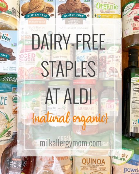 The Best 20 Dairy-Free Foods at Aldi | Natural, Organic, Non-GMO Eating Out Gluten Free Dairy Free, Best Dairy Free Snacks, Dairy Free Store Bought Snacks, Naturally Dairy Free Meals, How To Go Dairy Free, Alphagal Allergy Recipes, Dairy Free Aldi, Dairy Free Trader Joes Recipes, Dairy Free Snacks Store Bought