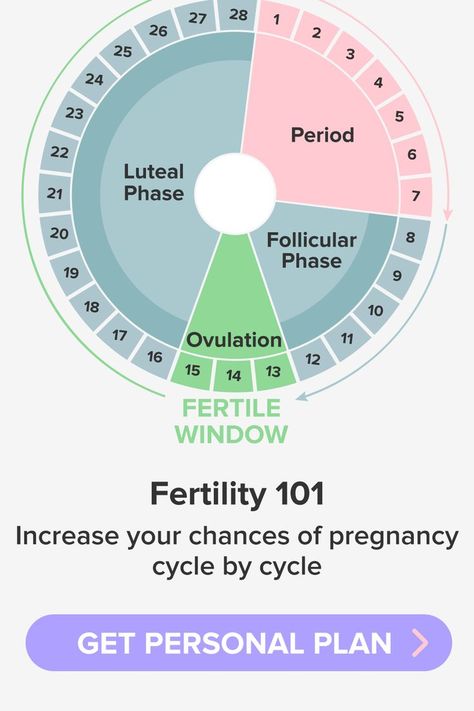 Period Cycle Chart, Fertility Chart Menstrual Cycle, Cycle Tracking Birth Control, Tracking Ovulation, Fertility Chart, Period Things, Ovulation Symptoms, Fertile Period, Cycle Chart