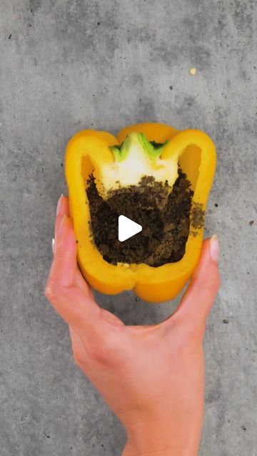 5-Minute Green on Instagram: "Smart gardening hacks for beginners!

#5mingreen #smartgardening #gardeningtips #growyouron" Planting Hacks How To Grow, Easy Vegetable To Grow For Beginners, Gardening Tips For Beginners, Plant Growing Hacks, How To Make Plants Grow Faster, Small Garden Diy Ideas, Garden Ideas For Small Spaces, Simple Garden Ideas, Easy Garden Ideas