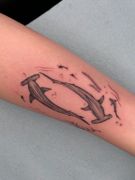 shark tattoo #sharks #sharktattoo #marinebiologytattoo #minimalisttat Hammer Head Shark Tattoos Outline, Swimming Shark Tattoo, Black Tip Reef Shark Tattoo, Hammer Head Tattoo, Hammer Shark Tattoo, Shark Line Tattoo, Shark Tattoo Arm, Bull Shark Tattoo, Mako Shark Tattoo