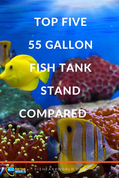 The best 55 gallon fish tank stands compared. 55 Gallon Fish Tank Ideas, 55 Gallon Fish Tank, Community Fish Tank, Diy Aquarium Filter, 55 Gallon Aquarium, 55 Gallon Tank, Fish Tank Ideas, Fish Tank Stand, Marine Tank