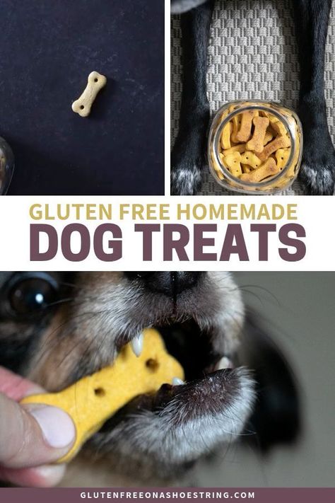 Gluten Free Dog Treat Recipes, Peanut Butter Gluten Free, Wheat Free Dog Treats, Banana Dog Treat Recipe, Gluten Free Dog Treats, Pumpkin Peanut Butter, Dog Treats Homemade Easy, Dog Treats Grain Free, Frozen Dog Treats