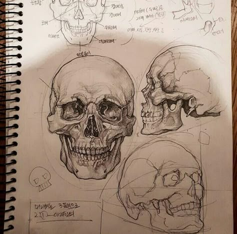 Arte Sketchbook, Anatomy Drawing, A Level Art, Gcse Art, Sketchbook Inspiration, Sketchbook Ideas, Sketchbook Art, Anatomy Art, Cool Art Drawings