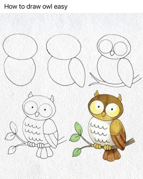 Easy Owl Drawing, How To Draw Owl, Easy Animals To Draw, Draw Owl, Owl Drawing Simple, Kids Drawing Ideas, Animals To Draw, Simple Owl, Owl Drawing