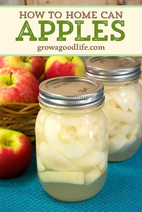 How To Can Apple Slices, Preserve Apples Ideas, Canning Fresh Apples, Canning Apple Slices, Can Apples Recipes, How To Can Apples, Apple Canning Ideas, Preserved Apples, Canned Apple Slices