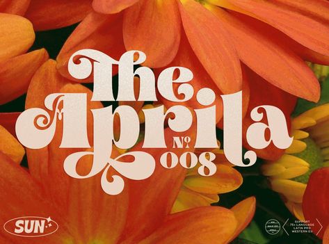 Aprila Font Family by Best Fonts Chic Fonts, 60s Font, Hippie Font, Boho Fonts, Dribbble Design, Funky Fonts, Family Logo, Groovy Font, Retro Font