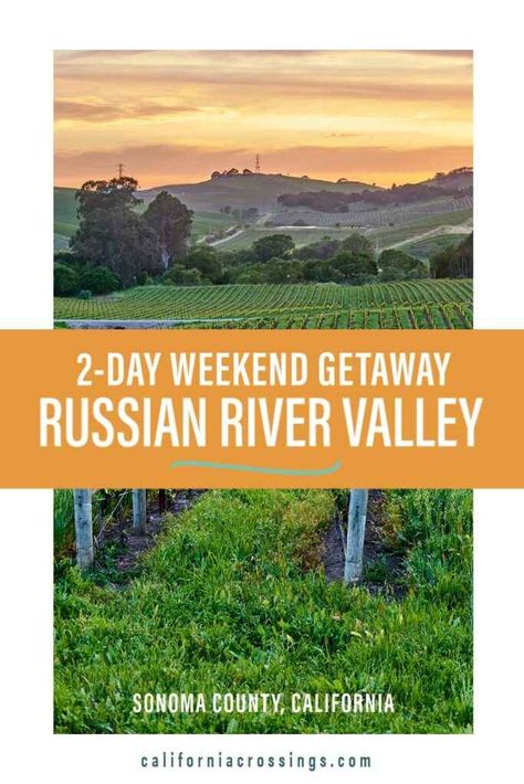 2-day Russian River Valley weekend getaway: vineyard at sunset Russian River California, Guerneville California, Bay Area Travel, San Francisco Attractions, Valley River, Sonoma County California, Russian River Valley, Sonoma Coast, Fun Outdoor Activities