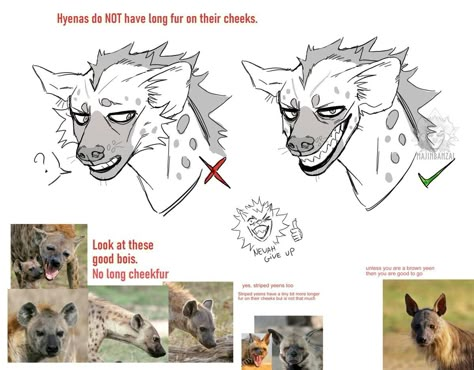 Hyena Teeth Reference, Canine Snout Reference, Were Hyena, Hyena Reference Drawing, Hyena Fursuit Head Base, Hyena Art Reference, Possum Fursona Base, How To Draw Hyena, Hyena Oc Art