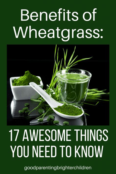 Wheatgrass Benefits, Growing Wheat, Wheat Grass Shots, Wheatgrass Powder, Clear Your Skin, Barley Grass, Green Juice Recipes, Increase Energy, Wheat Grass