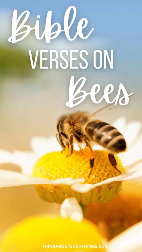 In this article, we will explore some interesting Bible verses about bees, wasps, and hornets. So, grab your Bible, and let's get started... This past week we have been exploring bees in God's Word. And Bible Verse About Bees, Bee Bible Verse, Busy Bee Quotes, Quotes About Bees, Honey Bee Quotes, Preschool Sunday School Lessons, Wasps And Hornets, Awana Ideas, Ruth 2