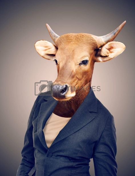 Conceptual Image, Corel Draw Design, Cash Cow, Studio Portrait, A Cow, Yay Images, Business People, Animal Heads, Free Stock Photos Image