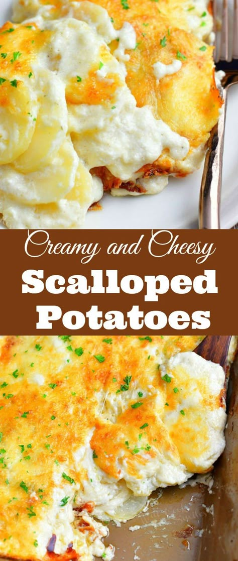 Scalloped potatoes recipe makes the ultimate comfort food. Make this recipe for creamy, cheesy, thinly sliced potatoes, baked in rich cream sauce. So creamy, so cheesy, everyone's favorite side dish for holiday dinner or any other night. #potatoes #sidedish #cheesy #creamy #scallopedpotatoes #potatocasserole #casserole Best Scalloped Potatoes Recipe, Scalloped Potatoes With Cream, The Best Scalloped Potatoes, Cheesy Potato Side Dishes, Scallop Potatoes, Cheesy Scalloped Potatoes Recipe, Easy Scalloped Potatoes Recipe, Best Scalloped Potatoes, Cream Cheese Potatoes