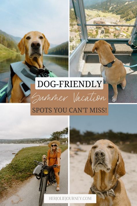 dog-friendly travel Dog Friendly Adventures, Dog Friendly Travel Destinations, Vacation With Dog Ideas, Best Dog Friendly Vacations, Dog Friendly Road Trip, Dog Friendly Vacation Spots, Dog Friendly Vacation East Coast, Vacation With Dog, Dog Friendly Travel