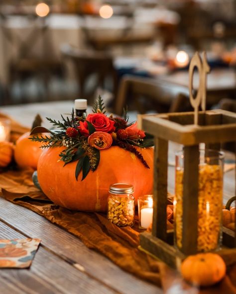 It’s pumpkin season! Photos by @nowandthensisters at @havenonthefarm Fall Wedding With Pumpkins, Wedding With Pumpkins, Pumpkin Season, Pumpkin Seasoning, Fall Wedding, Pumpkins, Instagram Posts, Instagram, Autumn Wedding