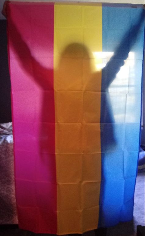 Pride Flag On Wall, Pride Flag Photoshoot, Pan Sexuality Flag, Pan Flag Aesthetic, Friends Astethic, Pansexual Flag Aesthetic, Pride Photoshoot Ideas, Flag On Wall, Pride Flag Aesthetic