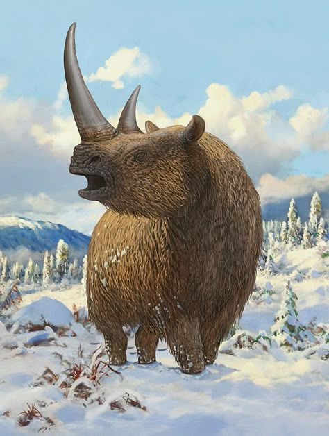 Woolly Rhinoceros, Prehistoric Mammals, Prehistoric Wildlife, Prehistoric World, Jurassic World Dinosaurs, Ancient Animals, Paleo Art, Extinct Animals, Dinosaur Art