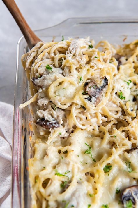 Creamy Chicken Tetrazzini, Rotisserie Chicken Recipes Healthy, Leftover Thanksgiving Turkey Recipes, Chicken Tetrazzini Casserole, Food Dinner Recipes, Use Rotisserie Chicken, Rotisserie Chicken Recipes Leftover, Recipe For Turkey, Chicken Tetrazzini Recipes