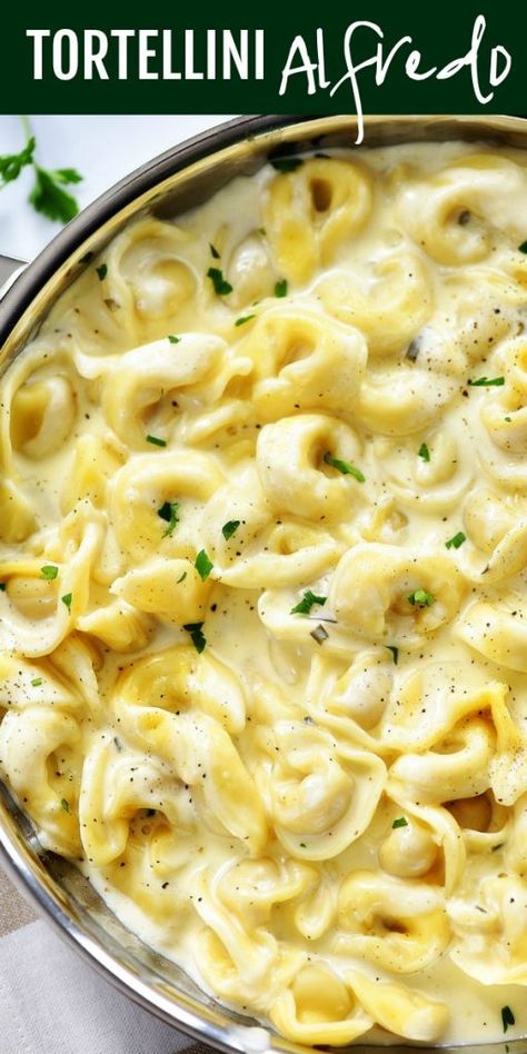 Recipes With Alfredo, Tortellini With Alfredo Sauce, Recipes With Alfredo Sauce, Alfredo Tortellini, Creamy Sauces, Tortellini Alfredo, Pasta Toppings, Creamy Alfredo Sauce, Resep Pasta