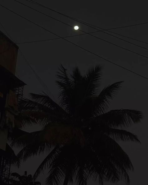 A bright moon illuminates the night sky, casting a soft glow on a lone coconut tree's silhouette. Clicked by me. #photooftheday #explorepage #photography #mobilephotography #trendingnow #photoeveryday #photographylovers #viralpost #photographers_of_india #naturephotography Bright Moon, Tree Silhouette, Coconut Tree, The Night Sky, Viral Post, Mobile Photography, Photography Lovers, Night Sky, Night Skies