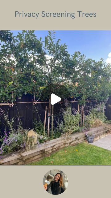 Beth Jamison on Instagram: "Privacy screening with evergreen pleached trees! 🌳   Who doesn’t want a bit of a privacy in their home and garden?   We planted these pleached trees around 3 and a half years ago and I can’t believe how much they have grown since then. When initially looking for privacy screening trees, top of the agenda was for them to be in leaf all year round and fast growing. I wanted to make sure our garden was a private as possible, and these evergreen cherry laurel pleached trees fitted the bill nicely!   If you want to make your garden a little more private then these are the trees for you!   #pleachedtrees #privacyscreen #gardenideas #privacyfence" Pleached Trees Privacy Screens, Screening Trees, Best Trees For Privacy, Pleached Trees, Cherry Laurel, Privacy Screening, Privacy Trees, Privacy Fence, The Bill