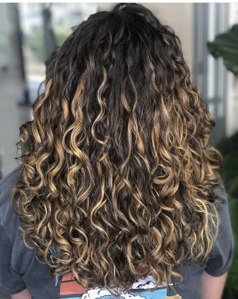 Color Melt Curly Hair, Honey Blonde Balayage On Dark Hair Curly, 2c Curly Hair Highlights, Boliage Hair On Curly Hair, 2c Hair Highlights, Highlights Dark Brown Hair Curly, Brown Curly Hair With Blonde Highlights, Curly Hair Highlights Caramel, Curly Hair Highlights And Lowlights