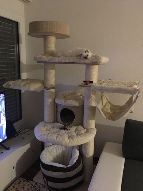 Cat Stuff Aesthetic, Cat Tower Aesthetic, Cat Room Aesthetic, Cat Set Up, Aesthetic Cat Tree, Cat Room Diy, Cat Room Decor, Cat Area, Colorful Hairstyles