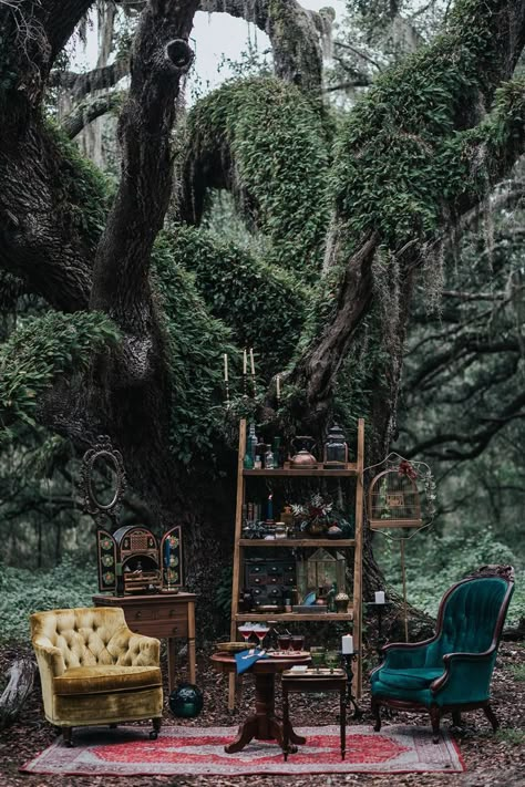 mystical forest wedding lounge #weddinglounge #decor #receptiondecor #lounge #weddingdetails Wiccan Wedding, Wedding Lounge, Stil Boho, Mystical Forest, Wedding In The Woods, Halloween Wedding, Forest Wedding, Good Time, Future House